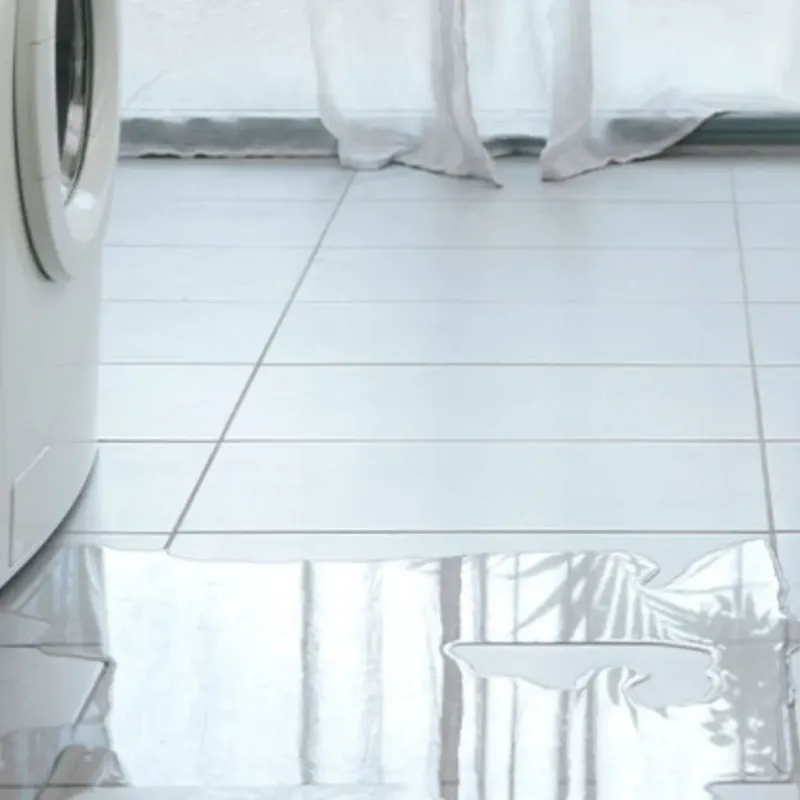 Appliance Leak Cleanup in Clinton, AR
