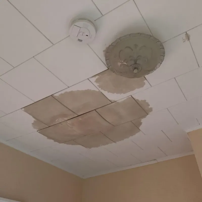 Ceiling Water Damage Repair in Clinton, AR