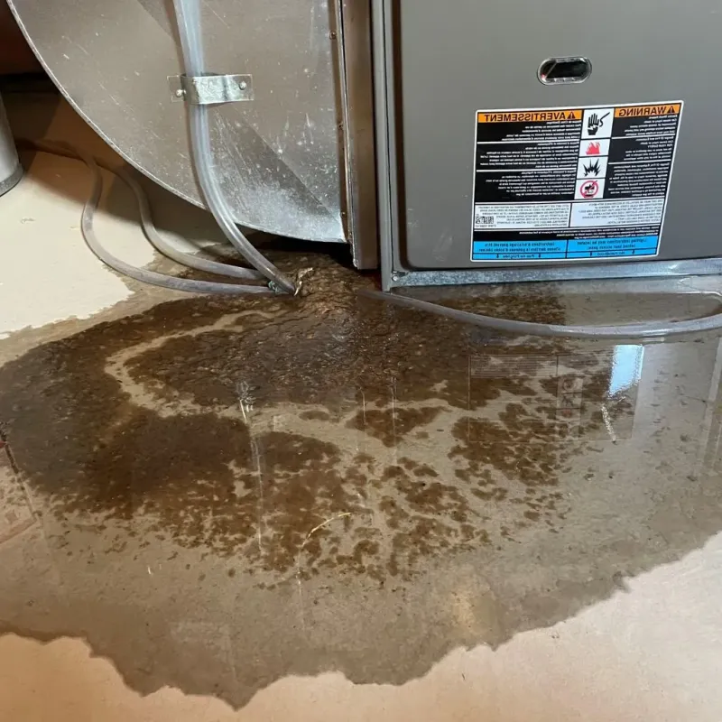 Pipe Burst and Leak Restoration in Clinton, AR